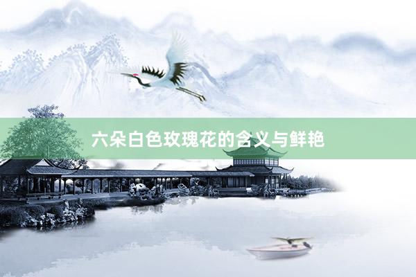 六朵白色玫瑰花的含义与鲜艳